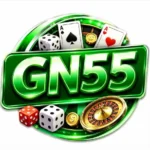 GN55 Game APK is one of the fairest Android Earning Platforms, which you can freely download.